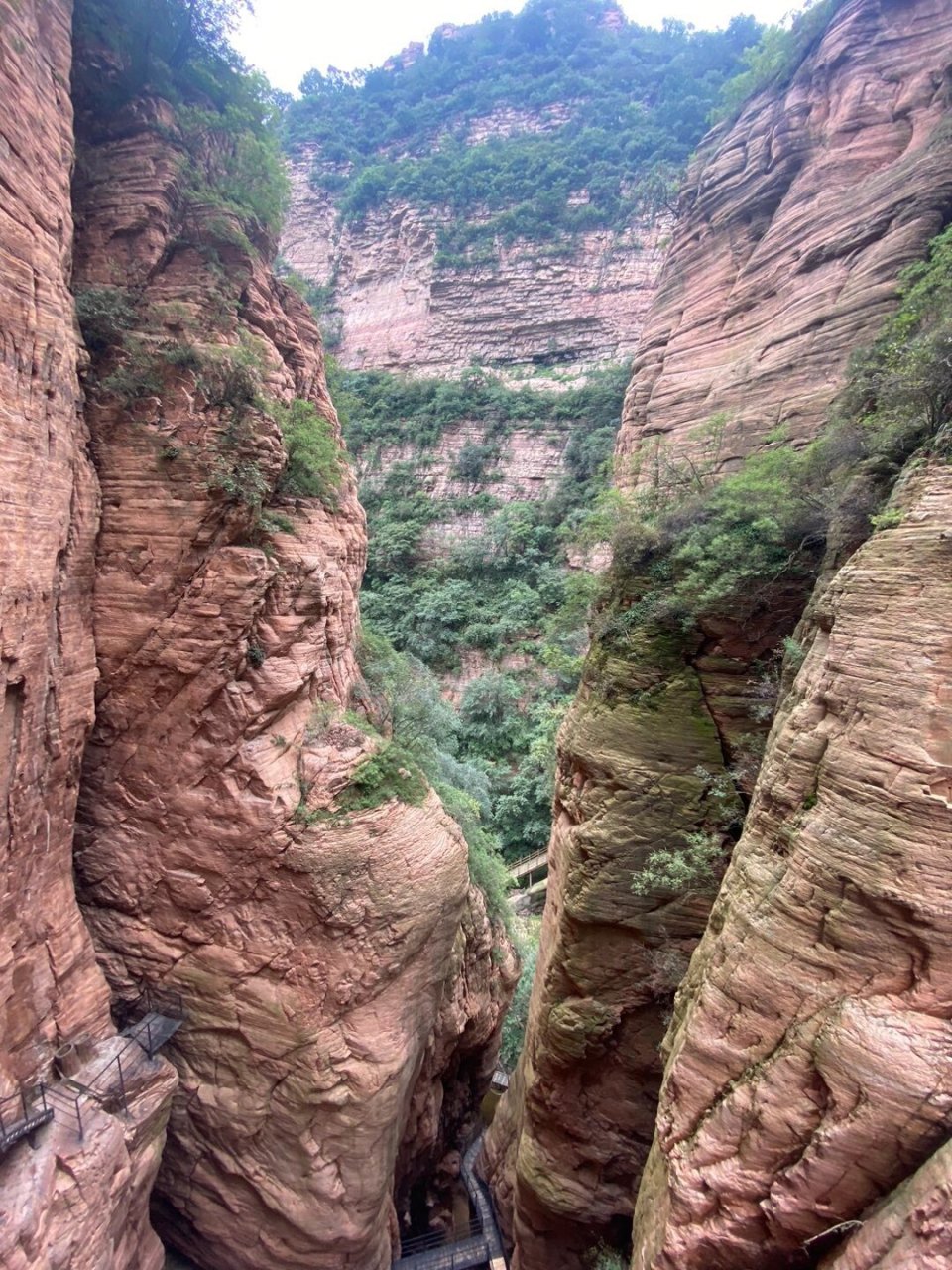 摩天岭海拔图片