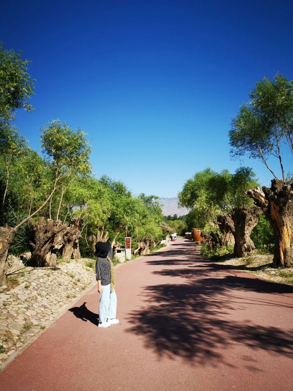 贺兰山运动公园 贺兰山运动公园:丰富的植物群与山体,溪涧,瀑布,湖泊