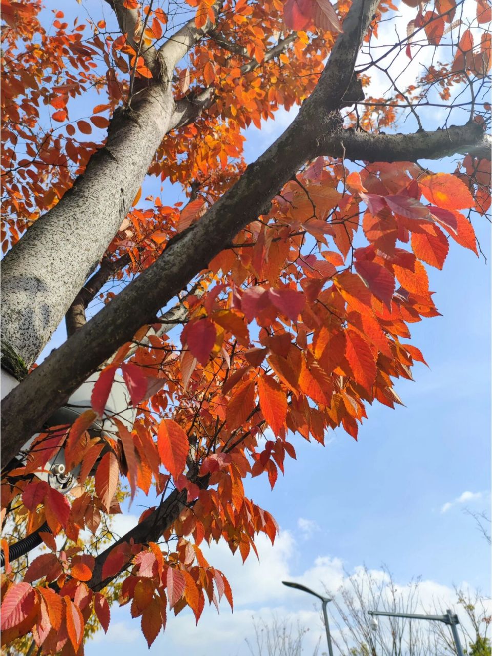 蘇州澹臺湖公園 越想快的時候越要慢,曬曬太陽,以逸待勞