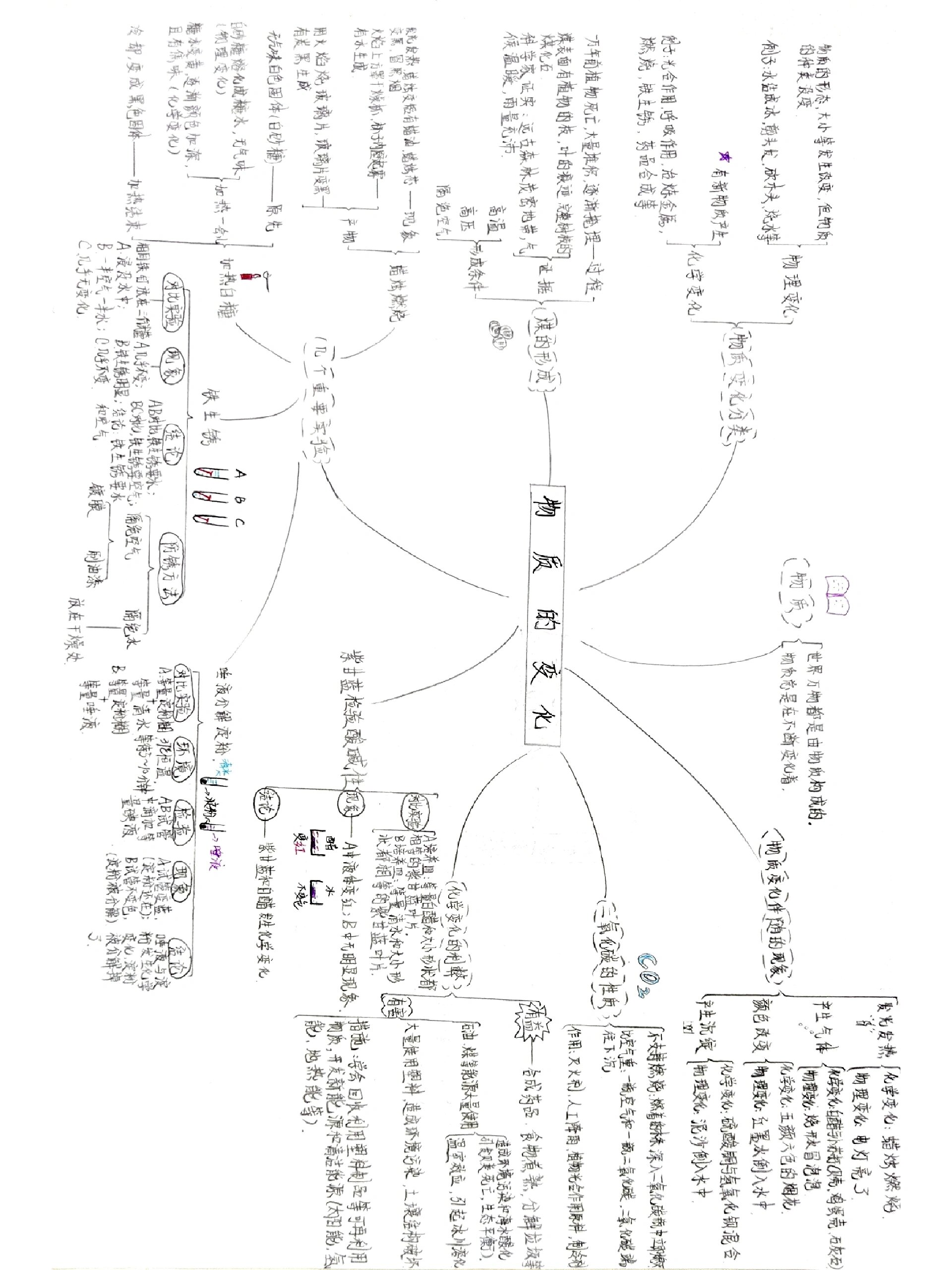 六年级下册科学第四单元思维导图