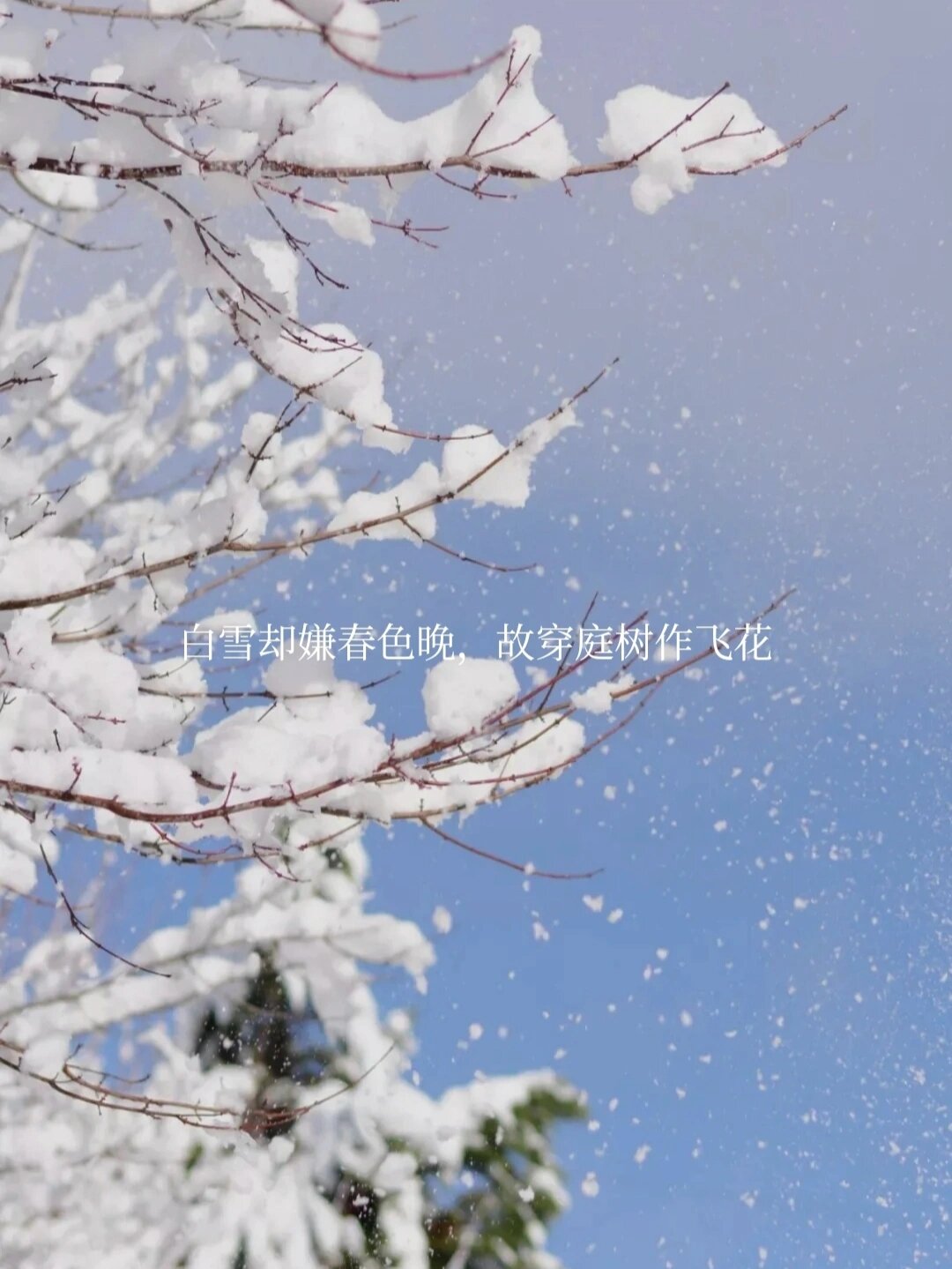 春雪韩愈配画图片