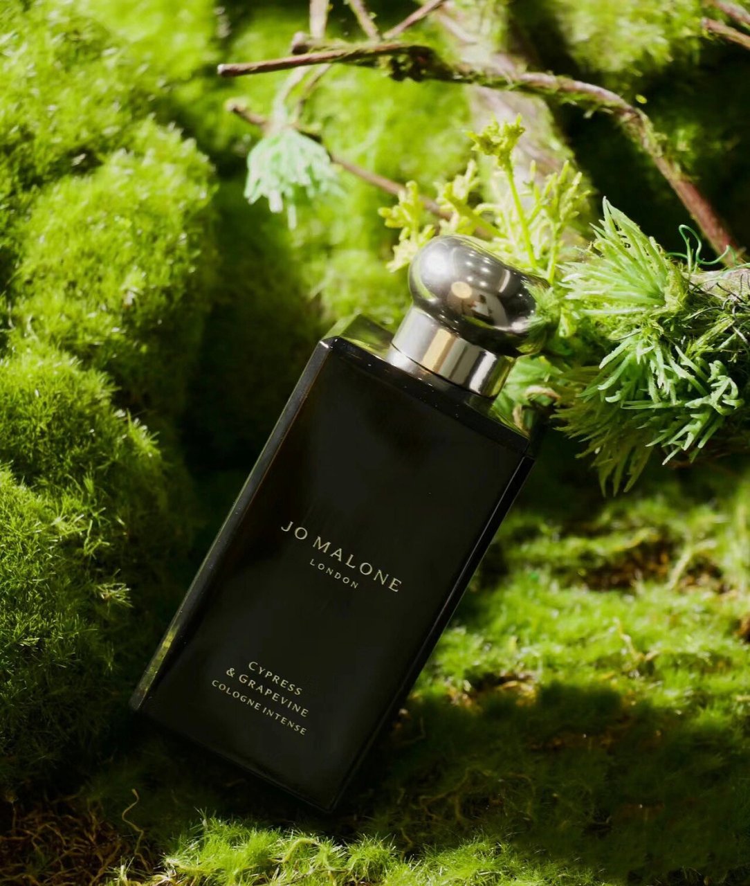jo malone「柏木与葡萄藤」高级木质调 在浩瀚的宇宙中,每个人都像