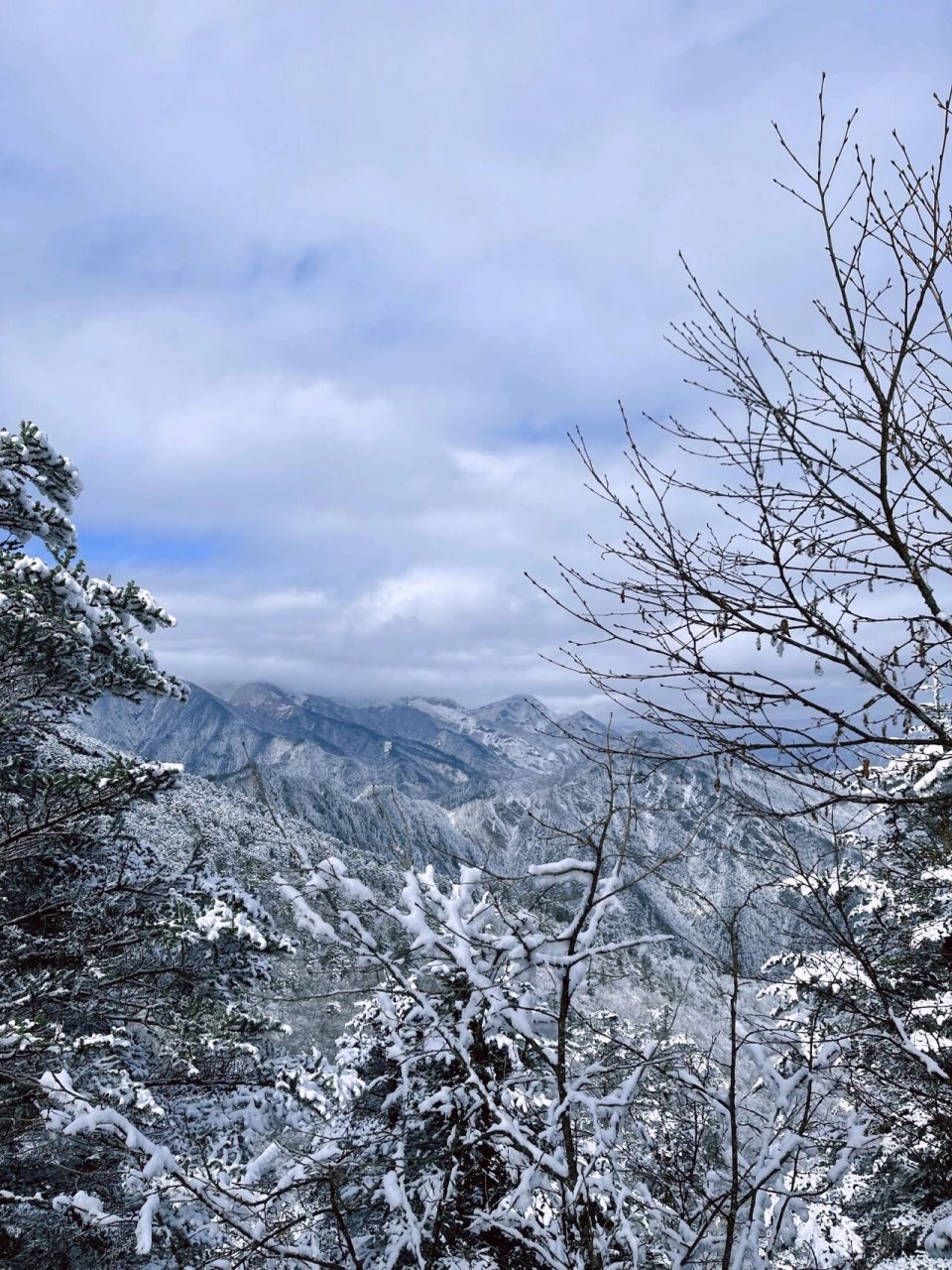 11月西嶺雪山沒有雪?不存在的.