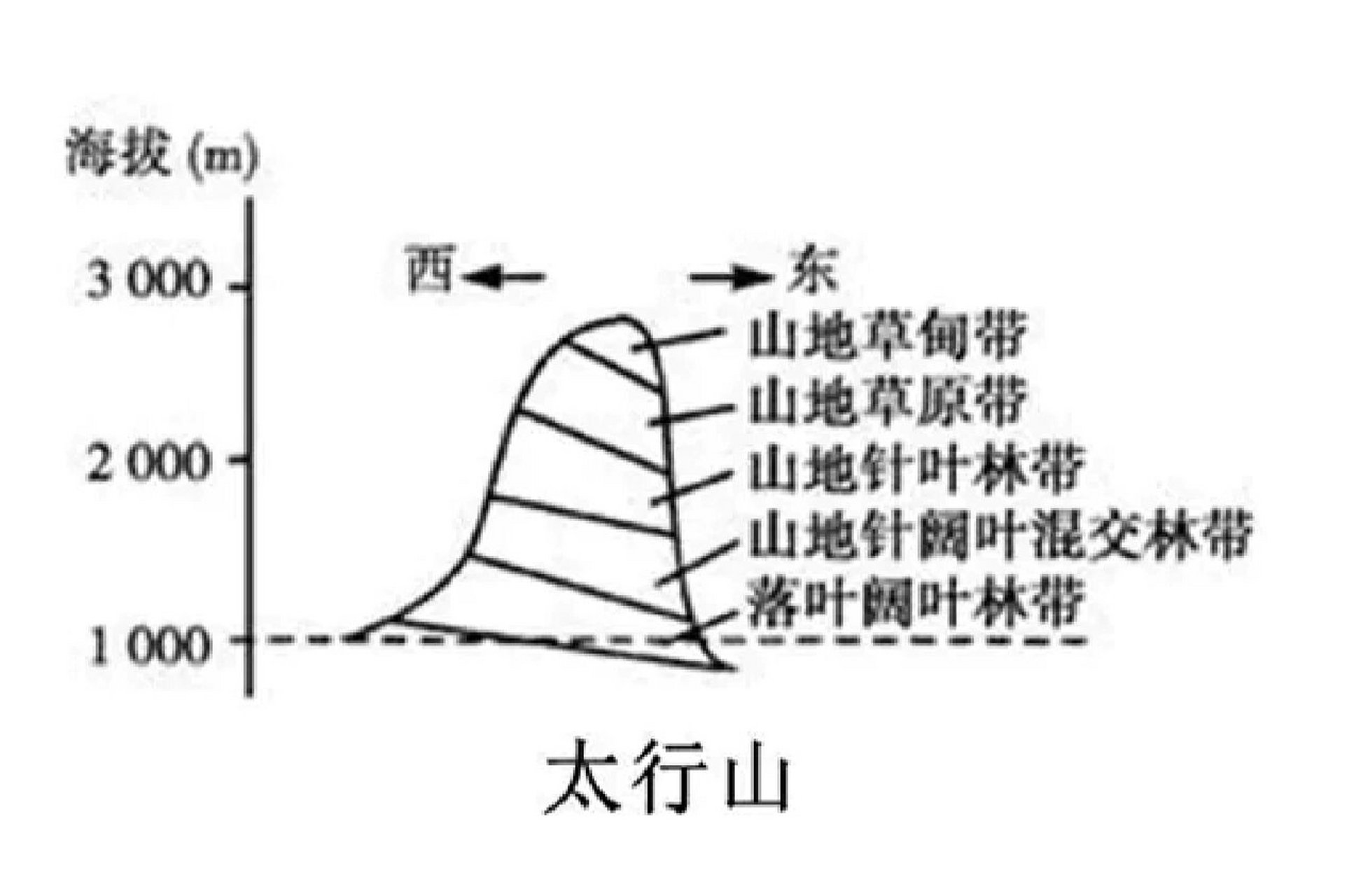 【高中地理】国内常考山脉的垂直自然带谱 1.天山 2.祁连山 3.