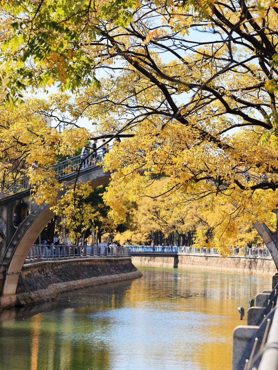 昆明大观河,风景无限美! 昆明滇朴冬日美景,大观河这边独好!