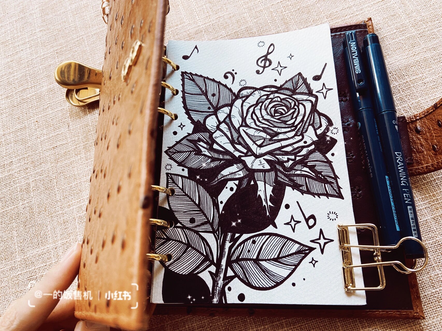 黑白手帐插画61玫瑰[内附过程]