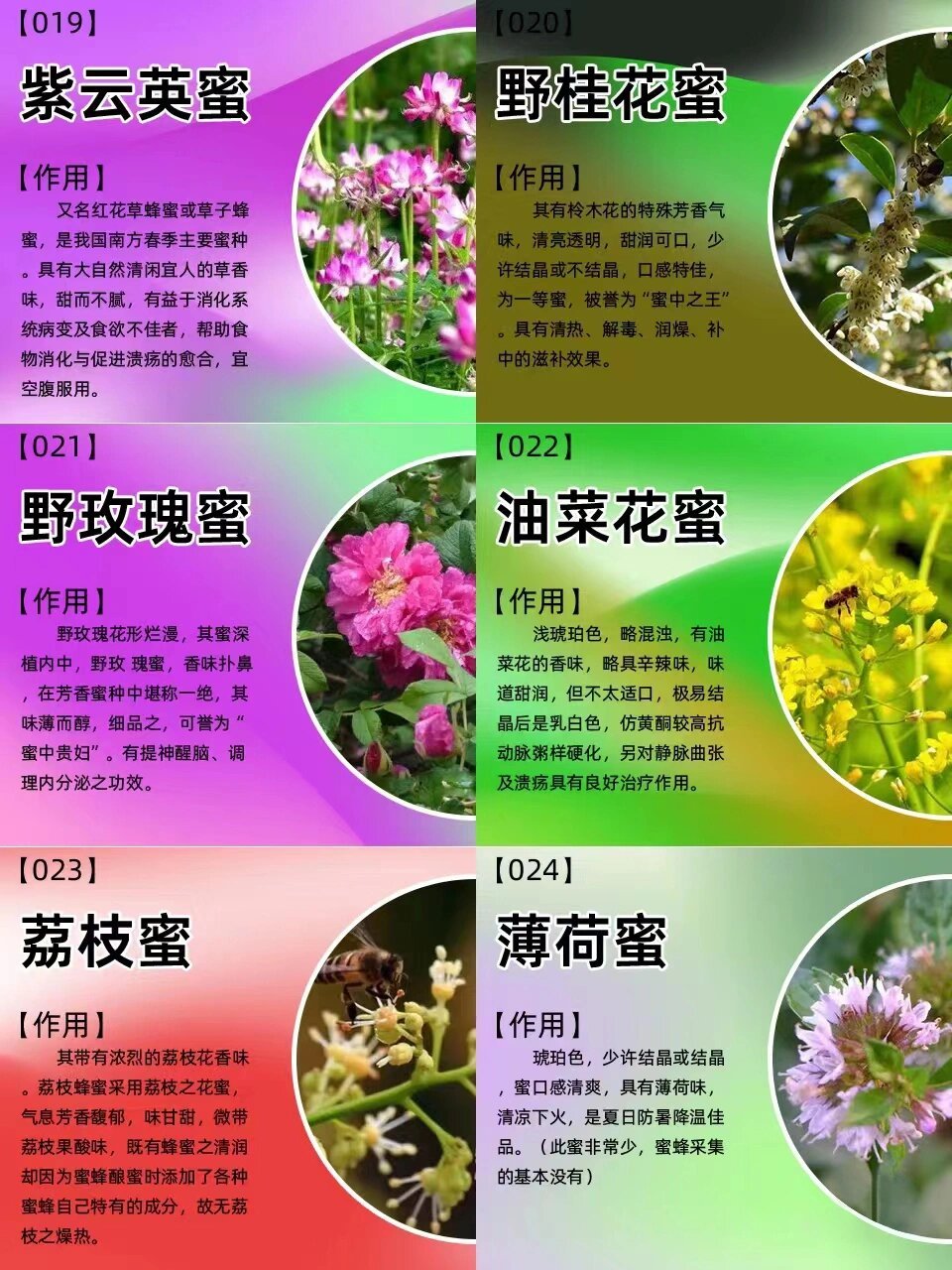 紫云英蜜图片