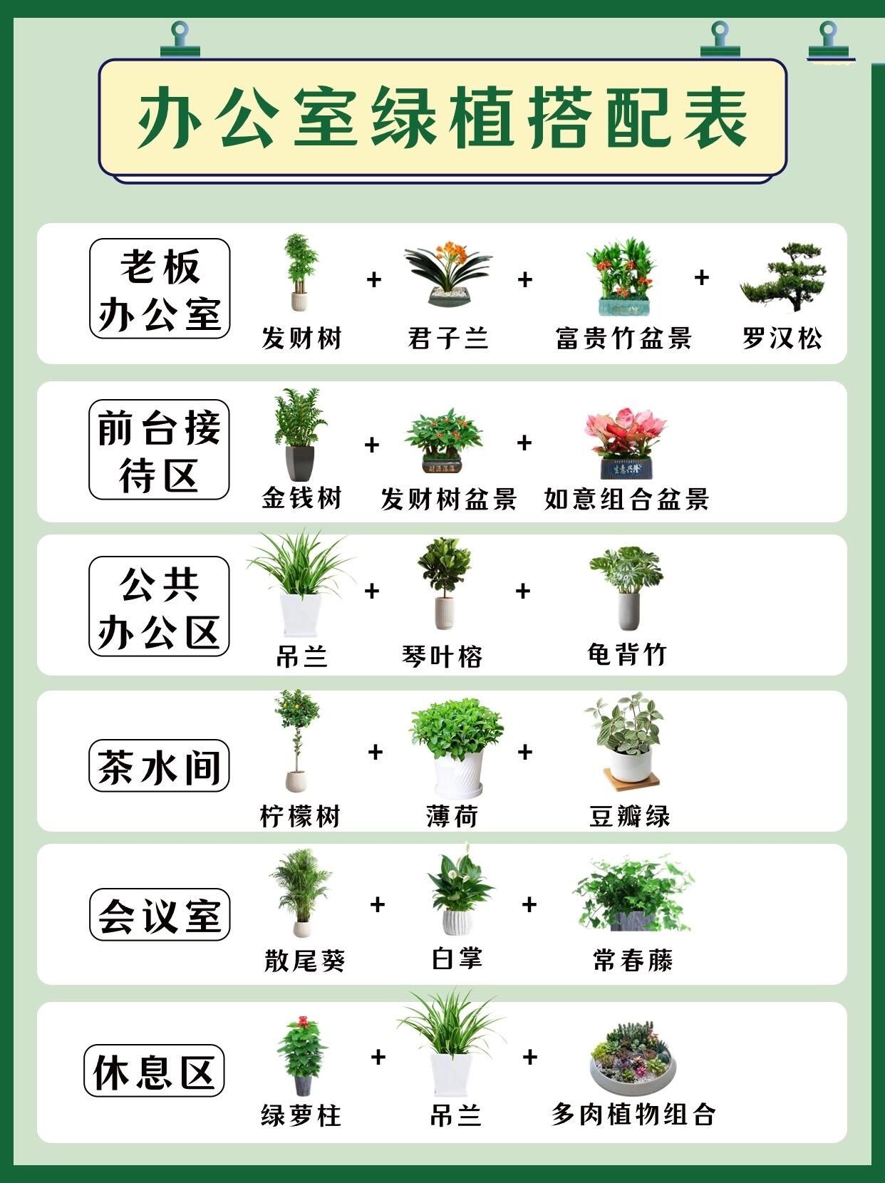 办公桌绿植摆放讲究图片