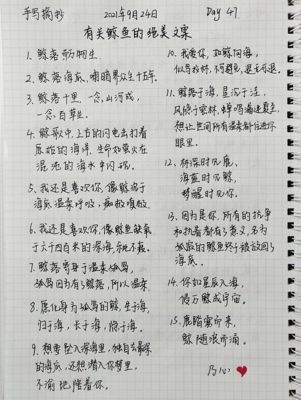 有关鲸鱼的绝美文案95 - 1,鲸落,而万物生