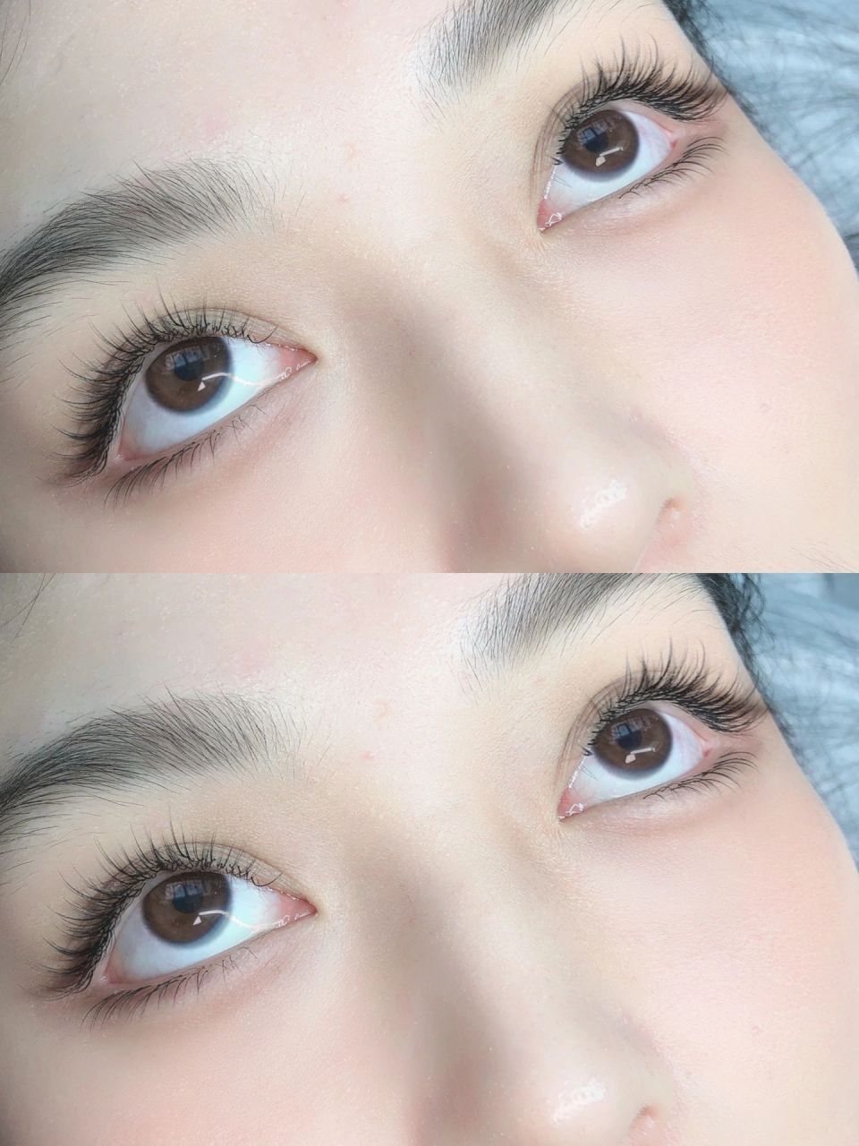 山茶花自然款睫毛 很自然的款式 山茶花睫毛单根接出来的效果很蓬松