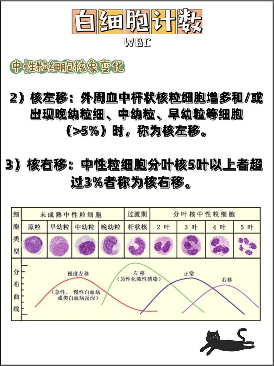 核左移图片