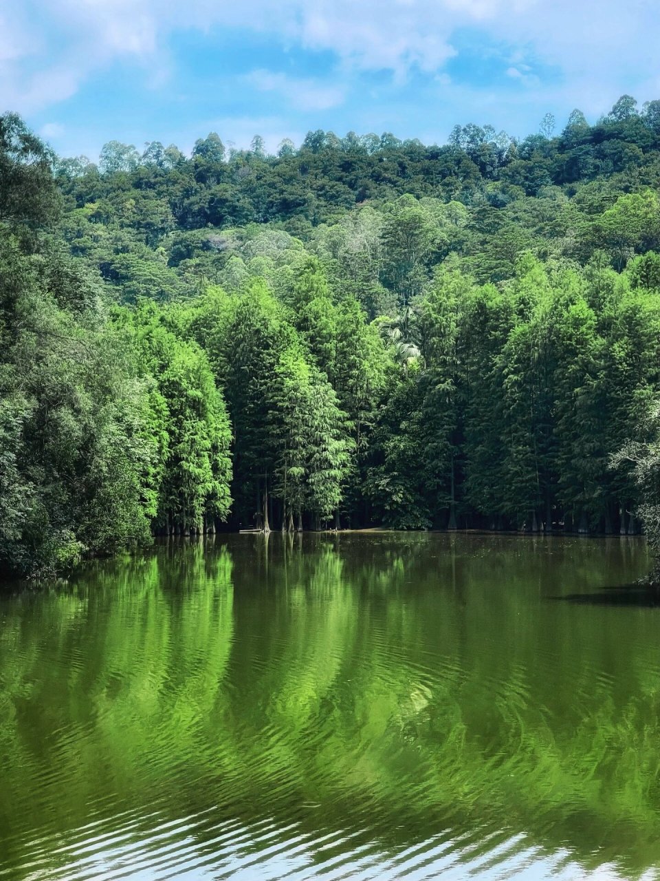 滴水岩森林公园,藏在广州市区的轻徒步路线 最近广州雨水多,周末想去