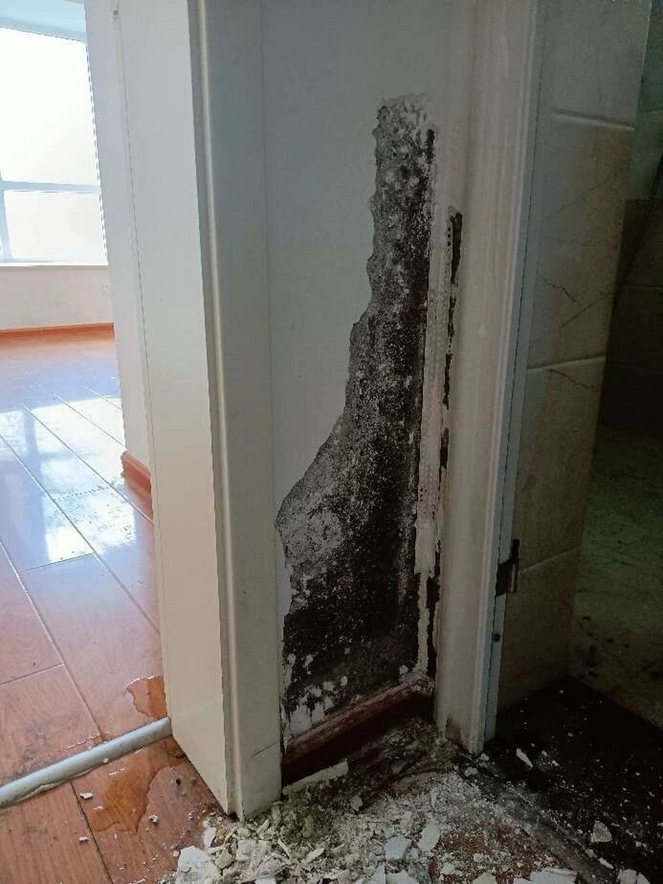 卫生间背墙面反碱是什么原因导致的?