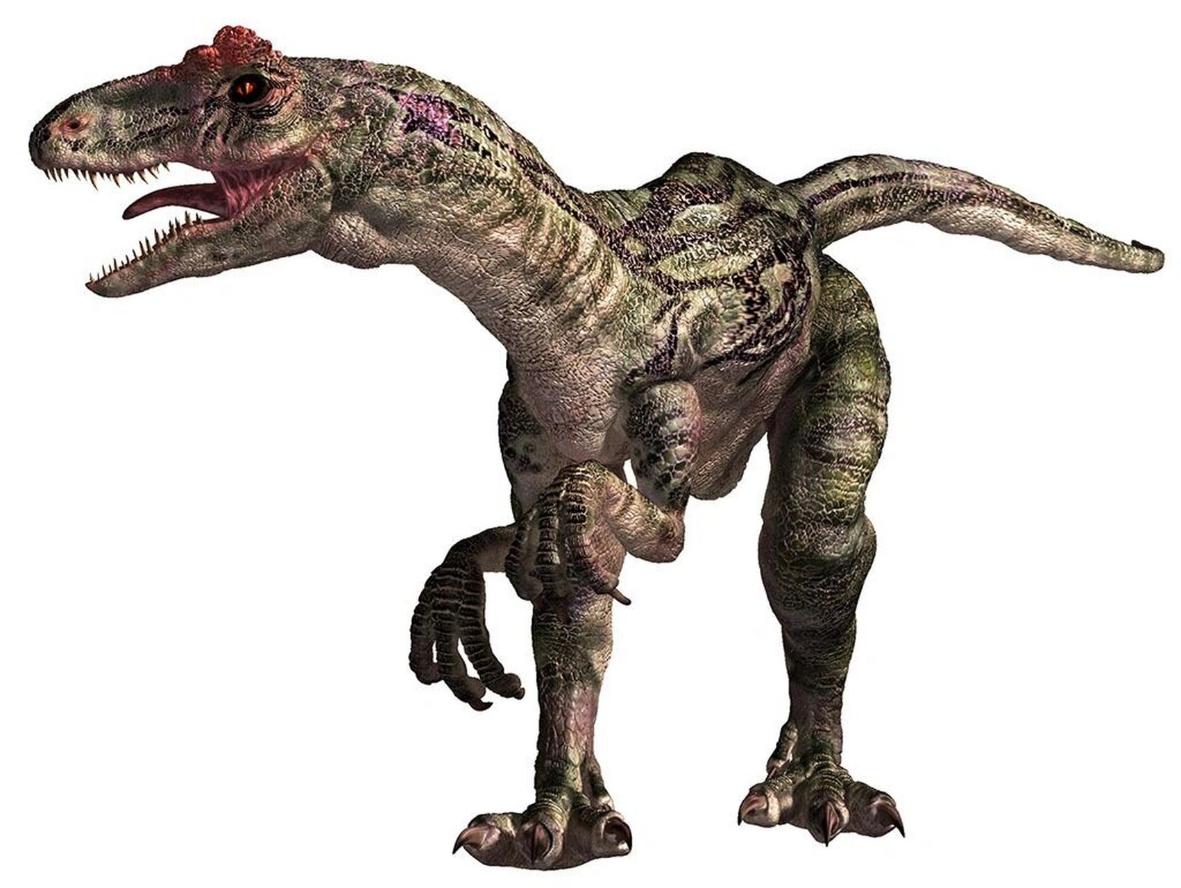 异特龙简介 异特龙是最著名的大型肉食性恐龙之一,占据晚侏罗世陆地