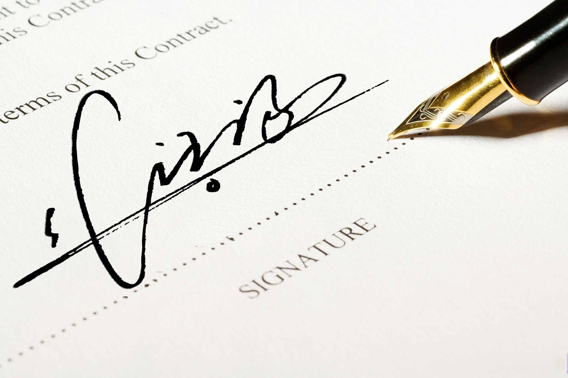 高端艺术签名设计 一款好的签名设计 应该流畅大方不做作 创意独特不