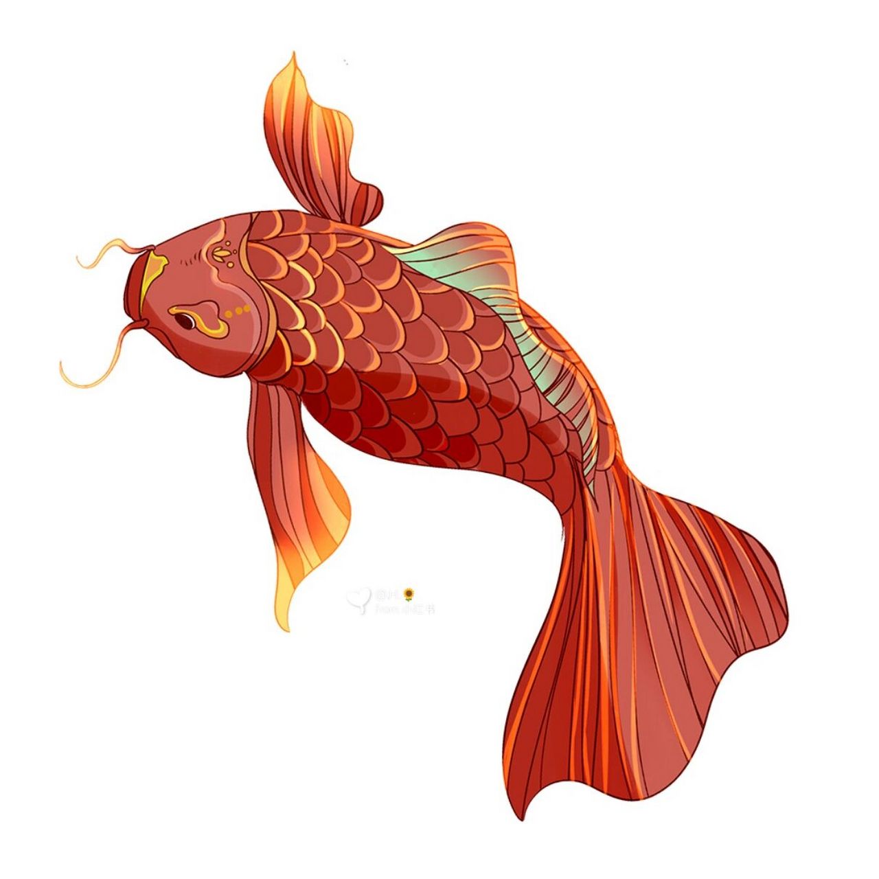 免抠素材‖绘画‖各类锦鲤手绘合集分享 今日打卡97转发锦鲤05