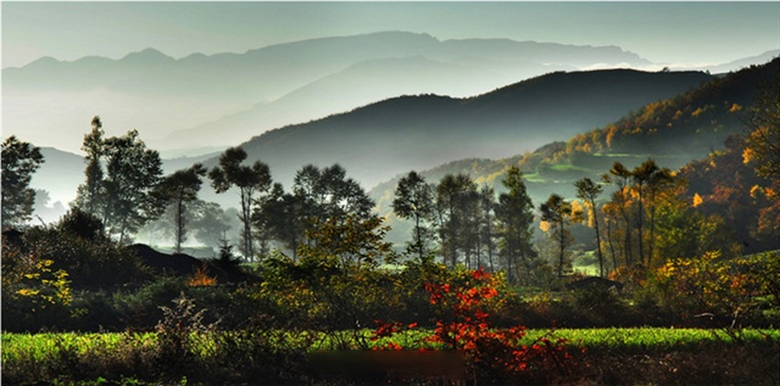 甘南临潭冶力关: 国家森林公园,国家4a级旅游景区