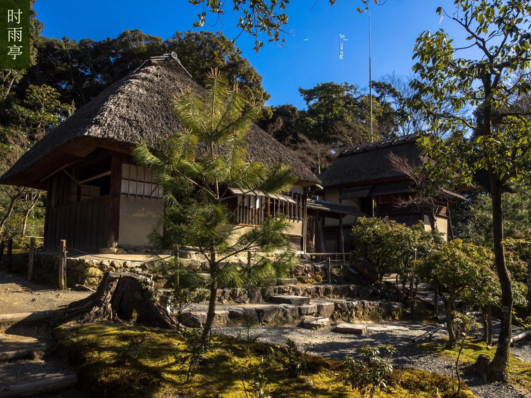 京都京都府高台寺图片