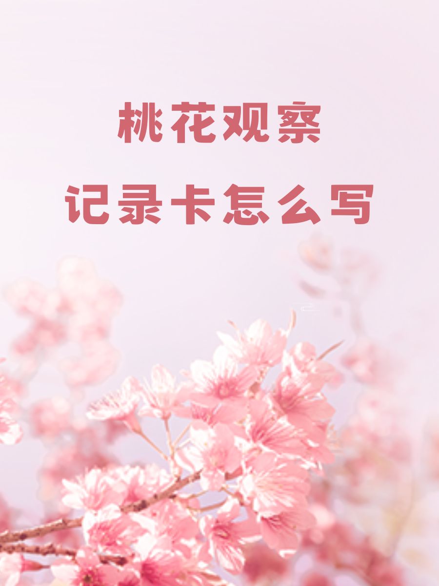 桃花怎么写图片