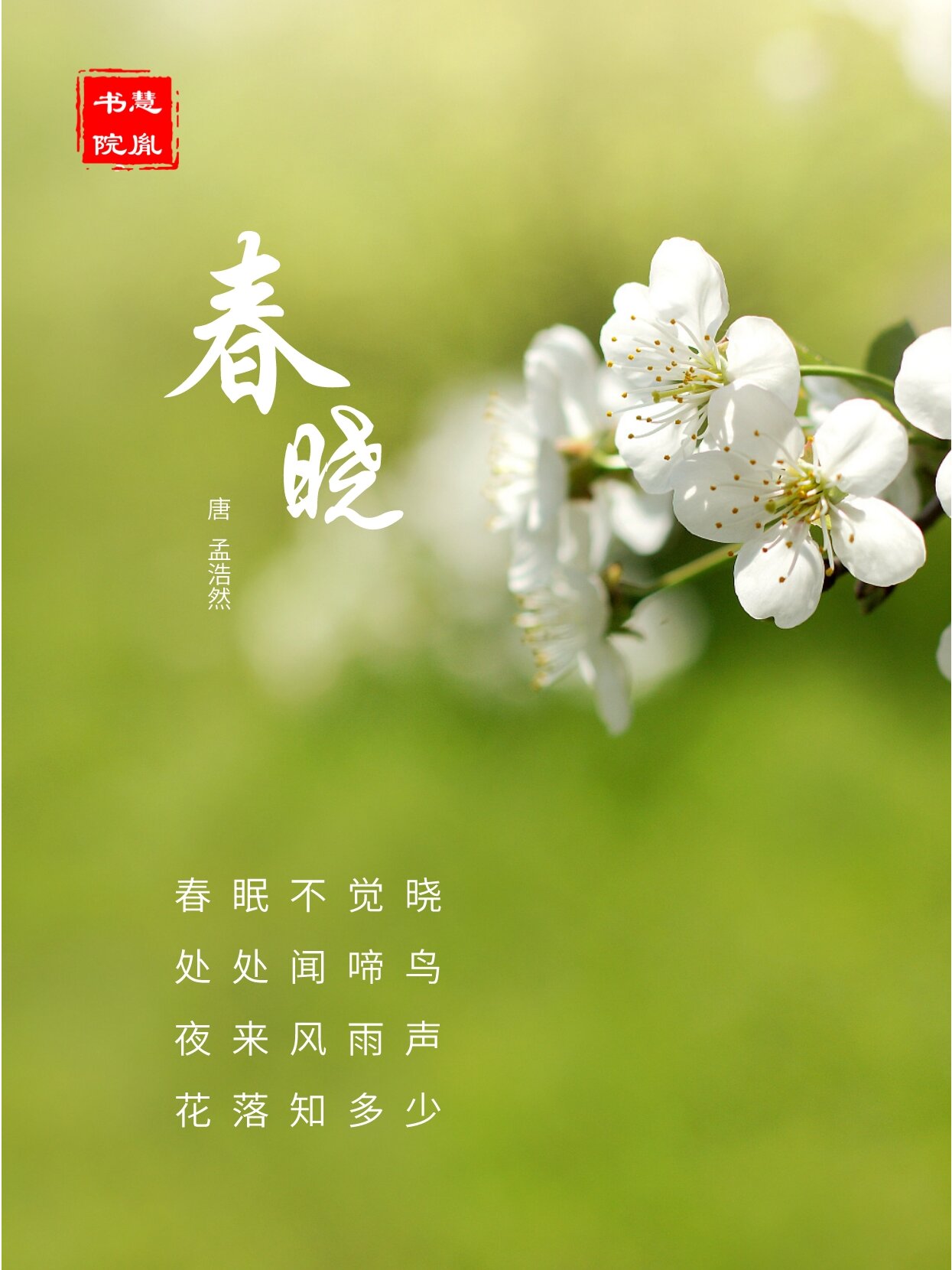诗词赏析 |〔唐〕孟浩然《春晓