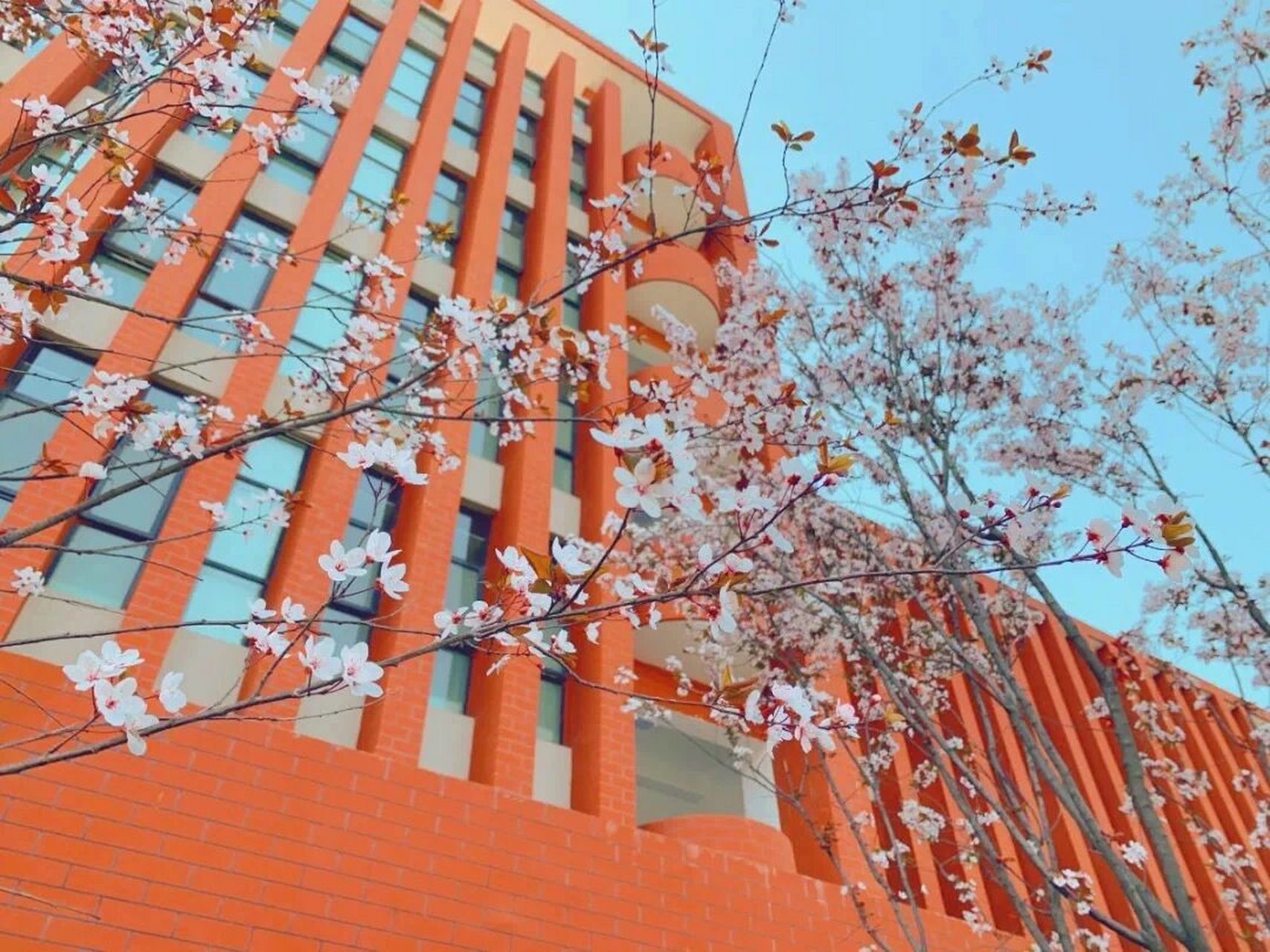 西安市航天城第一中学中考招生啦!