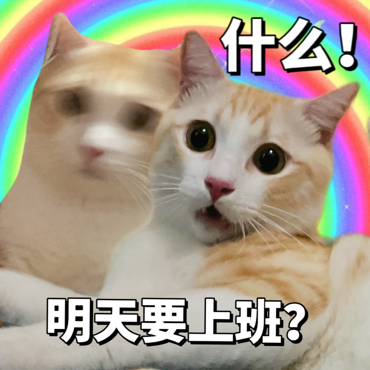 明天要上班? 什么?上班还要本人到场? 假的吧?假的吧?假的吧!