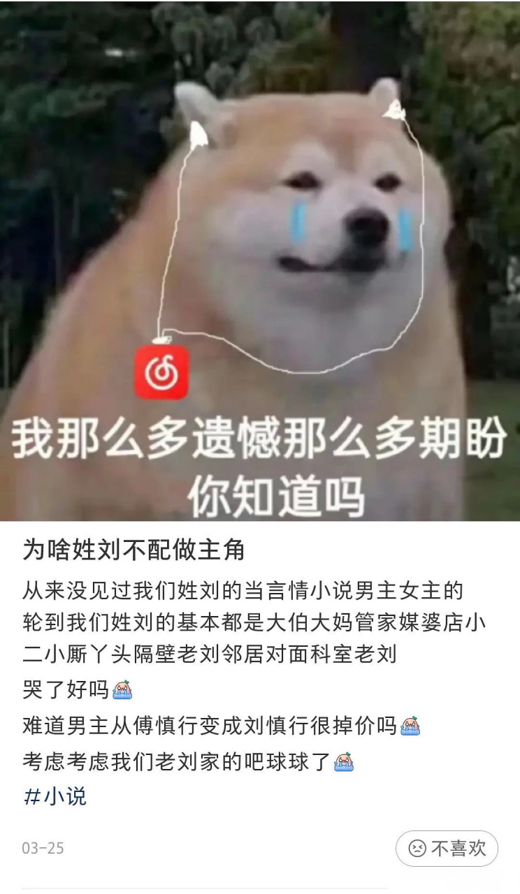 咋?俺们姓熊的不配做主角吗?