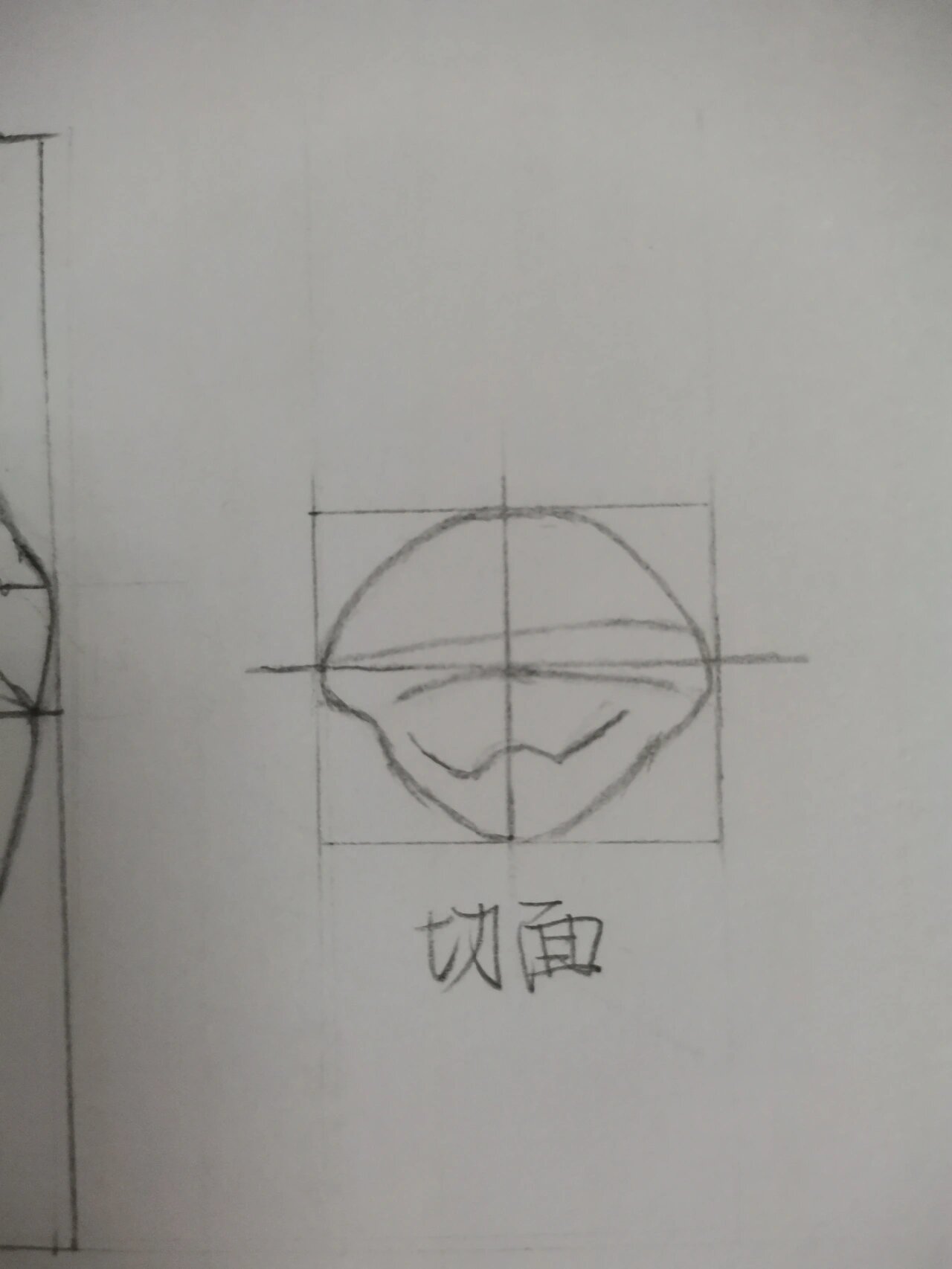 上颌中切牙素描图片