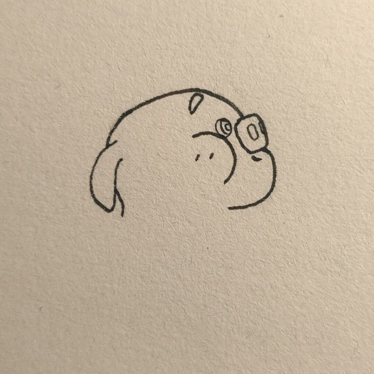 教你画可爱猪小屁~ #绘画# #简笔画教程# #简笔画# #猪小屁# #可爱