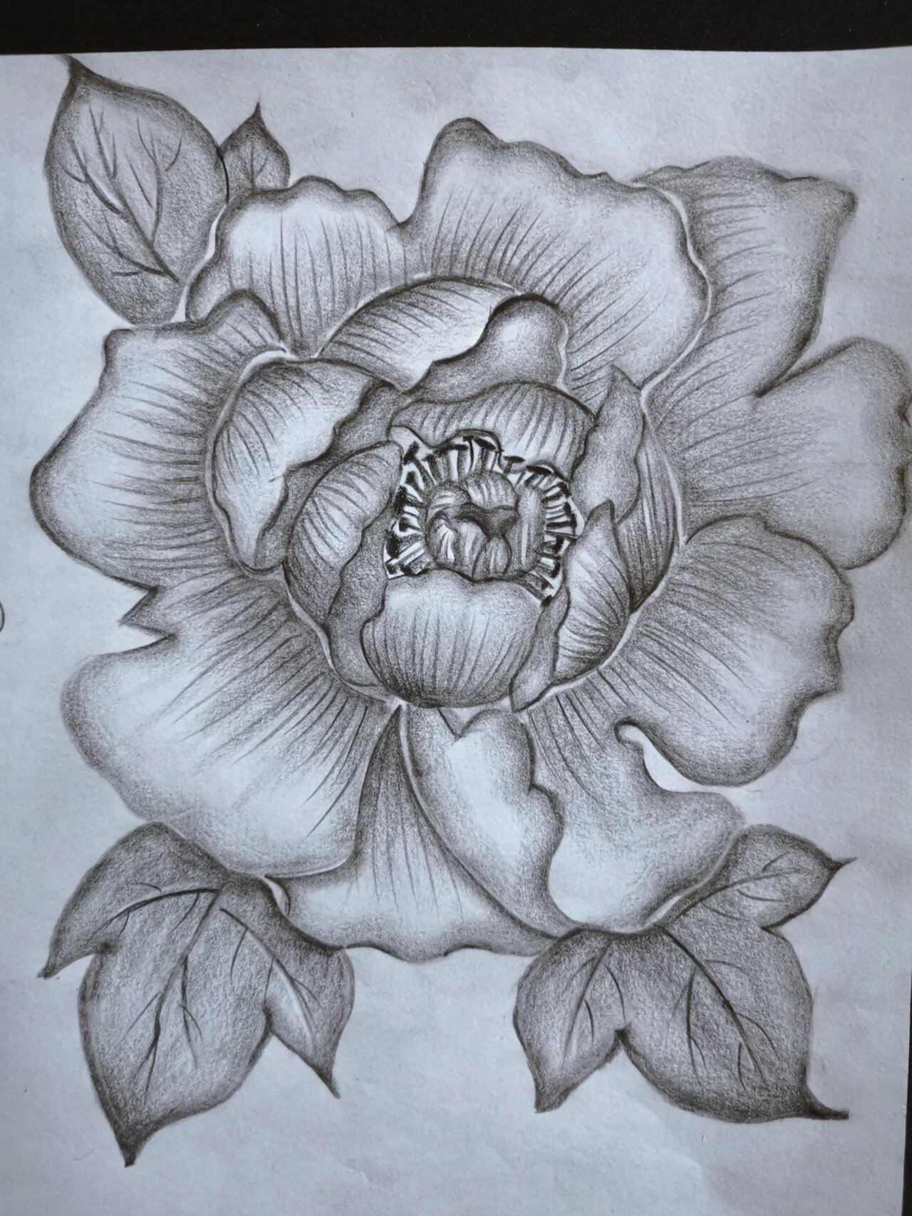 牡丹花分解画法步骤,零基础可学