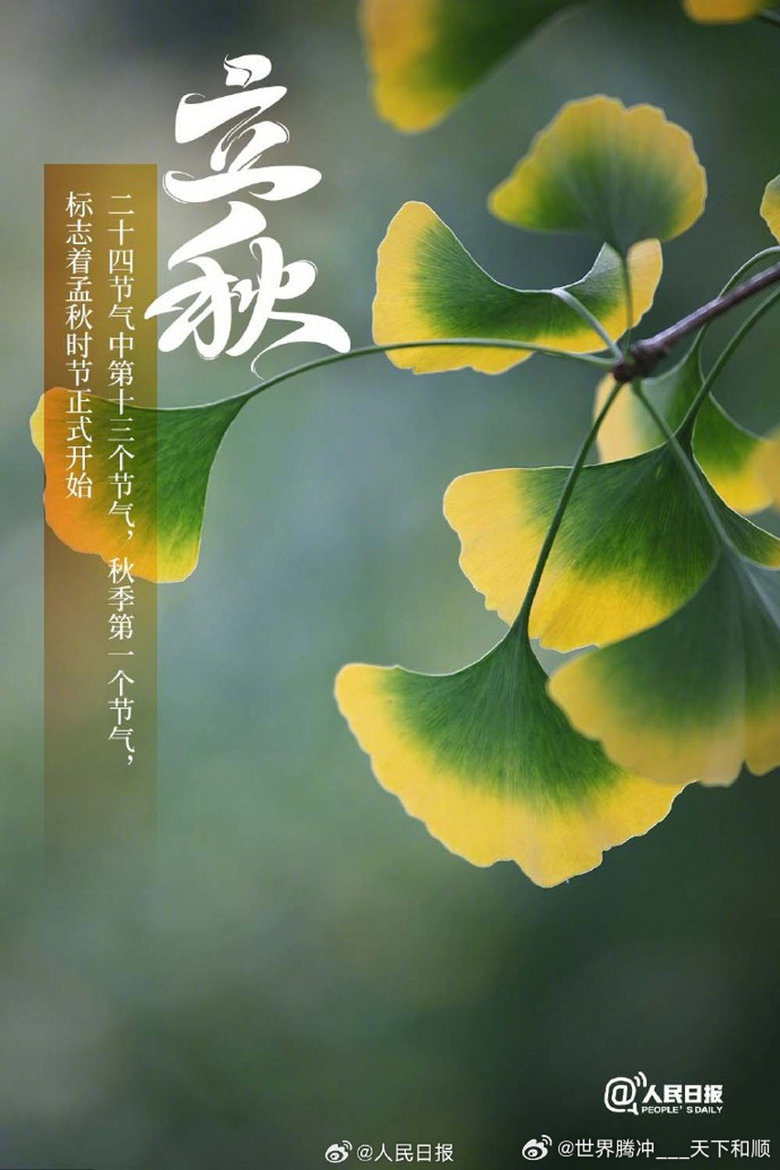 【今日,#立秋#】①北京时间8月8日2时23分迎来"立秋"节气;②立秋三候