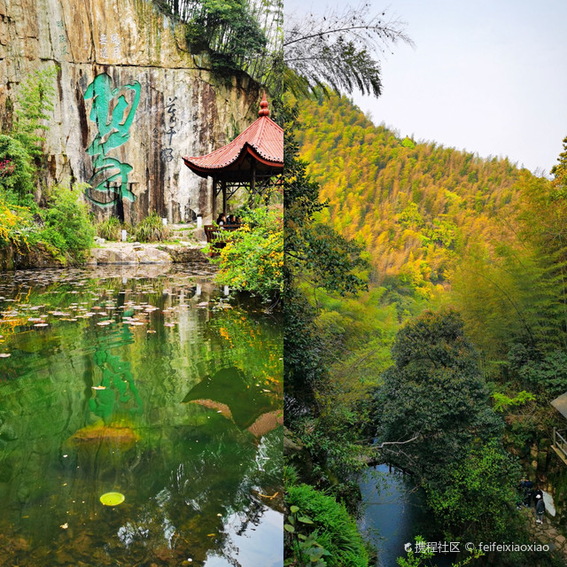 浙江莫干山景区介绍图片