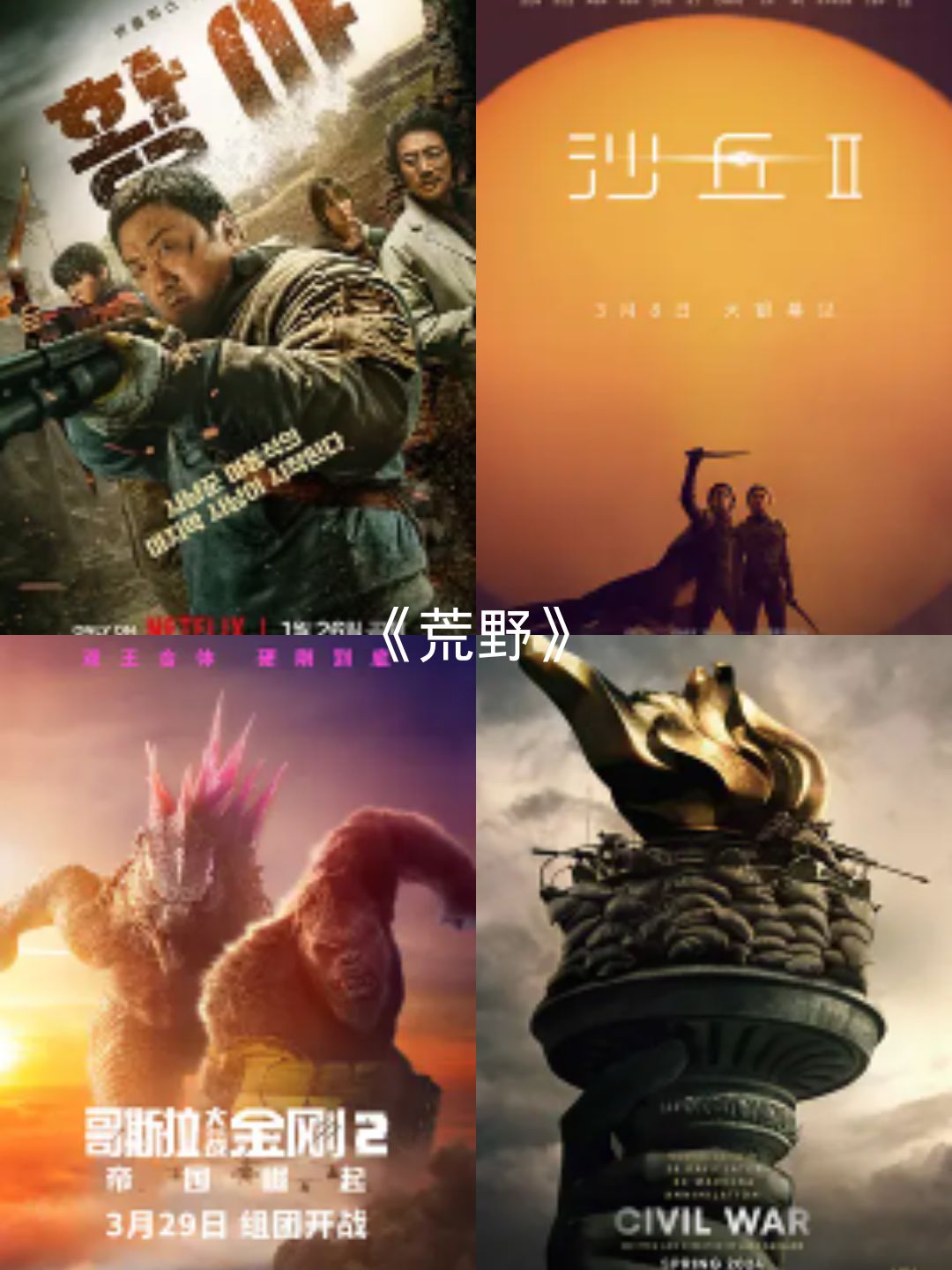 2024十部最猛的动作片