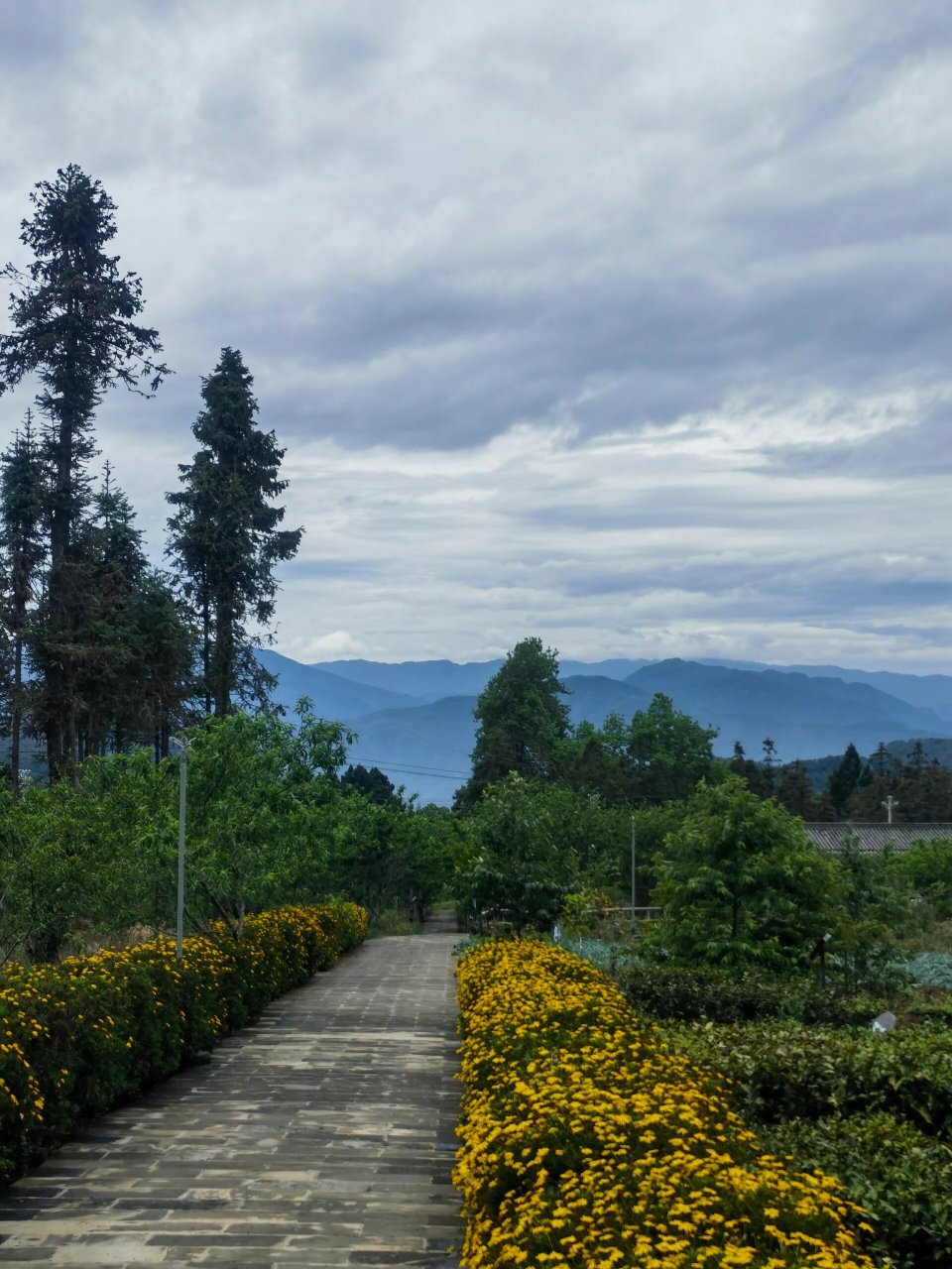 腾冲——高黎贡山茶博园 厌倦了城里的高楼大厦,喜欢乡野一缕青烟的人