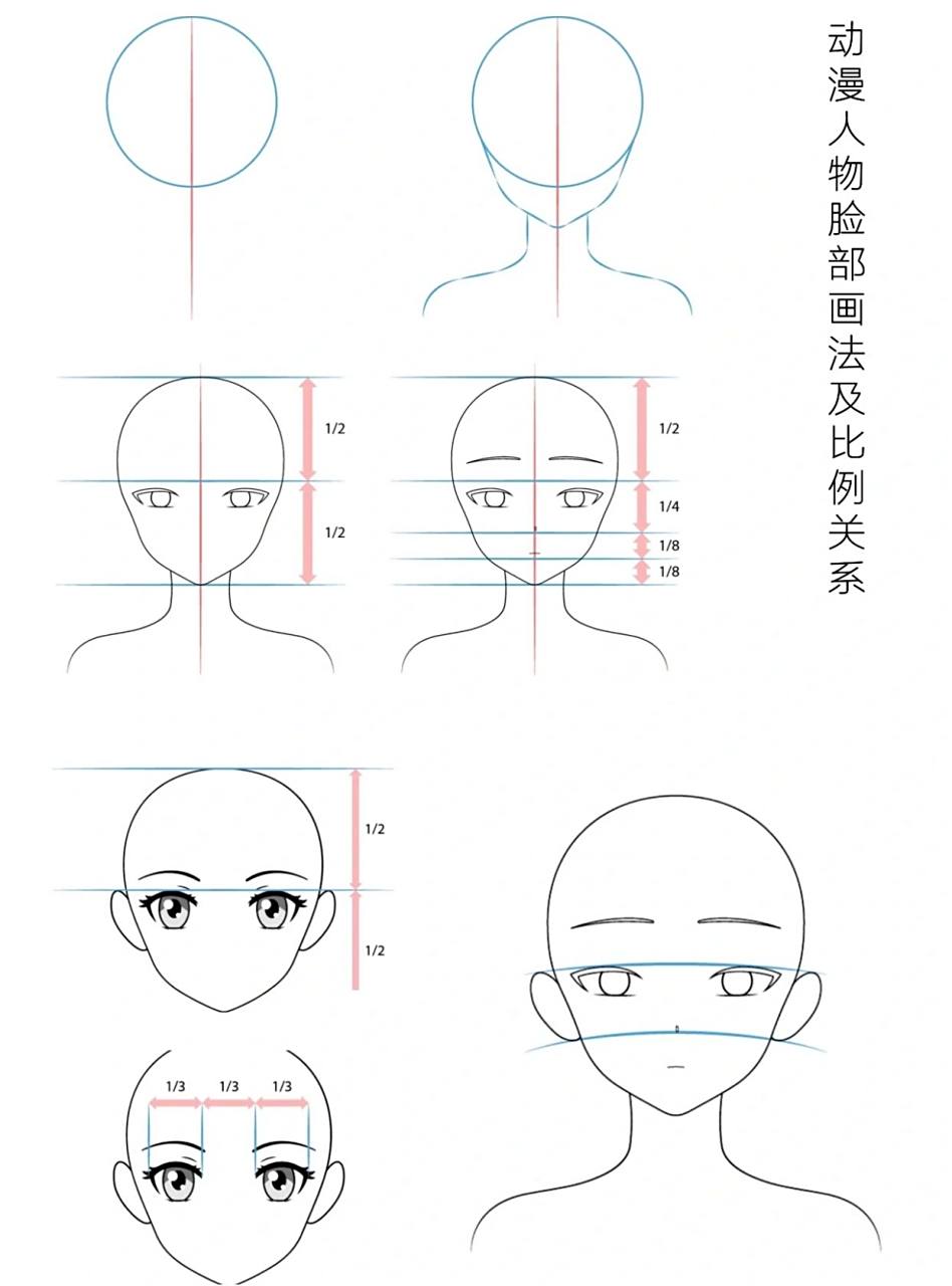动漫人物|漫画头部画法及比例关系 广州番禺南阁艺术中心整理 动漫