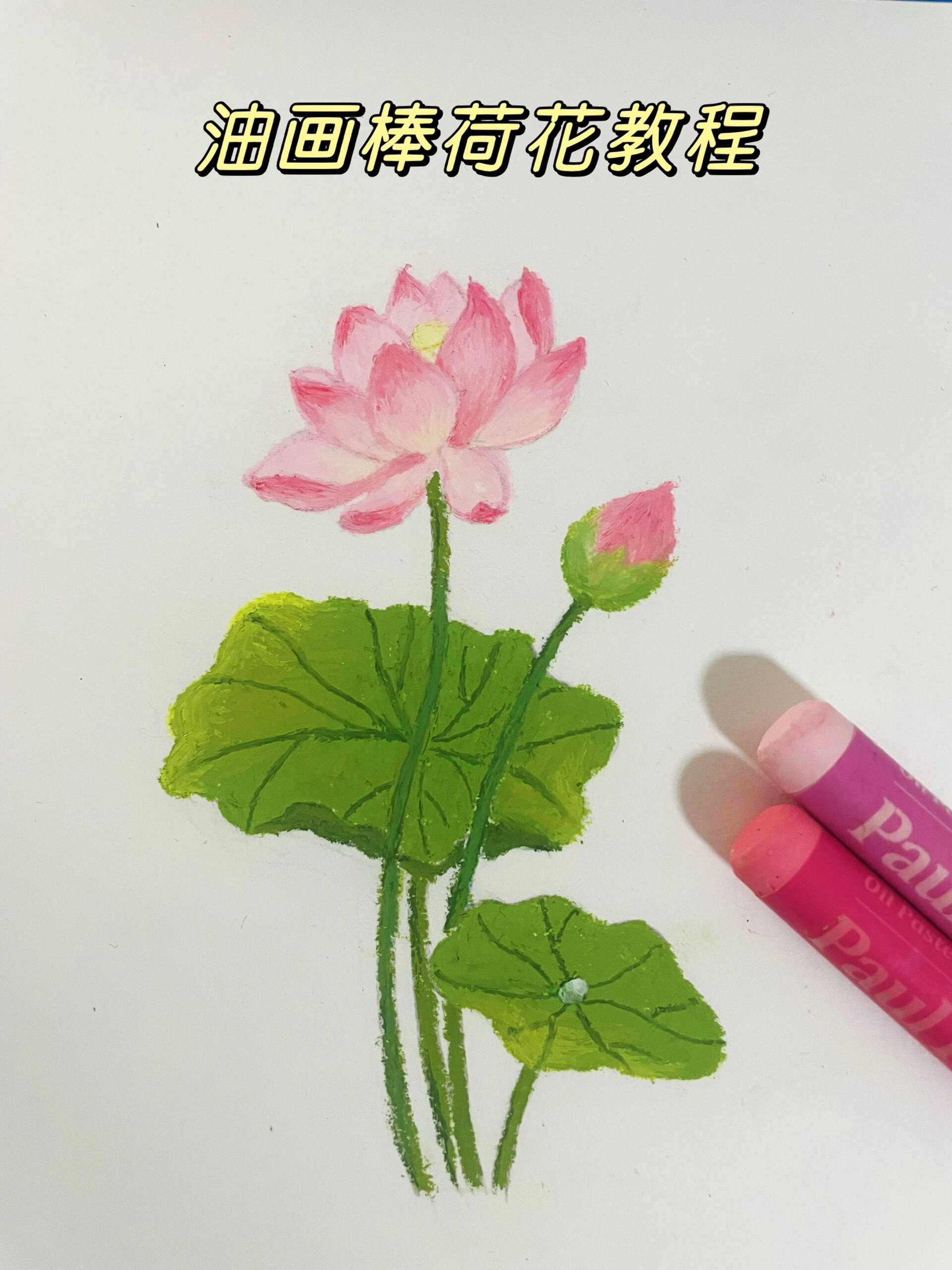 丙烯画荷花步骤图片图片