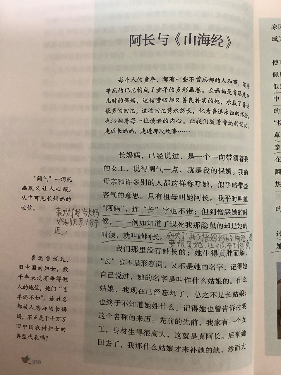 《朝花夕拾》《阿长与 山海经>》批注 快期中考试了,加油复习呀!