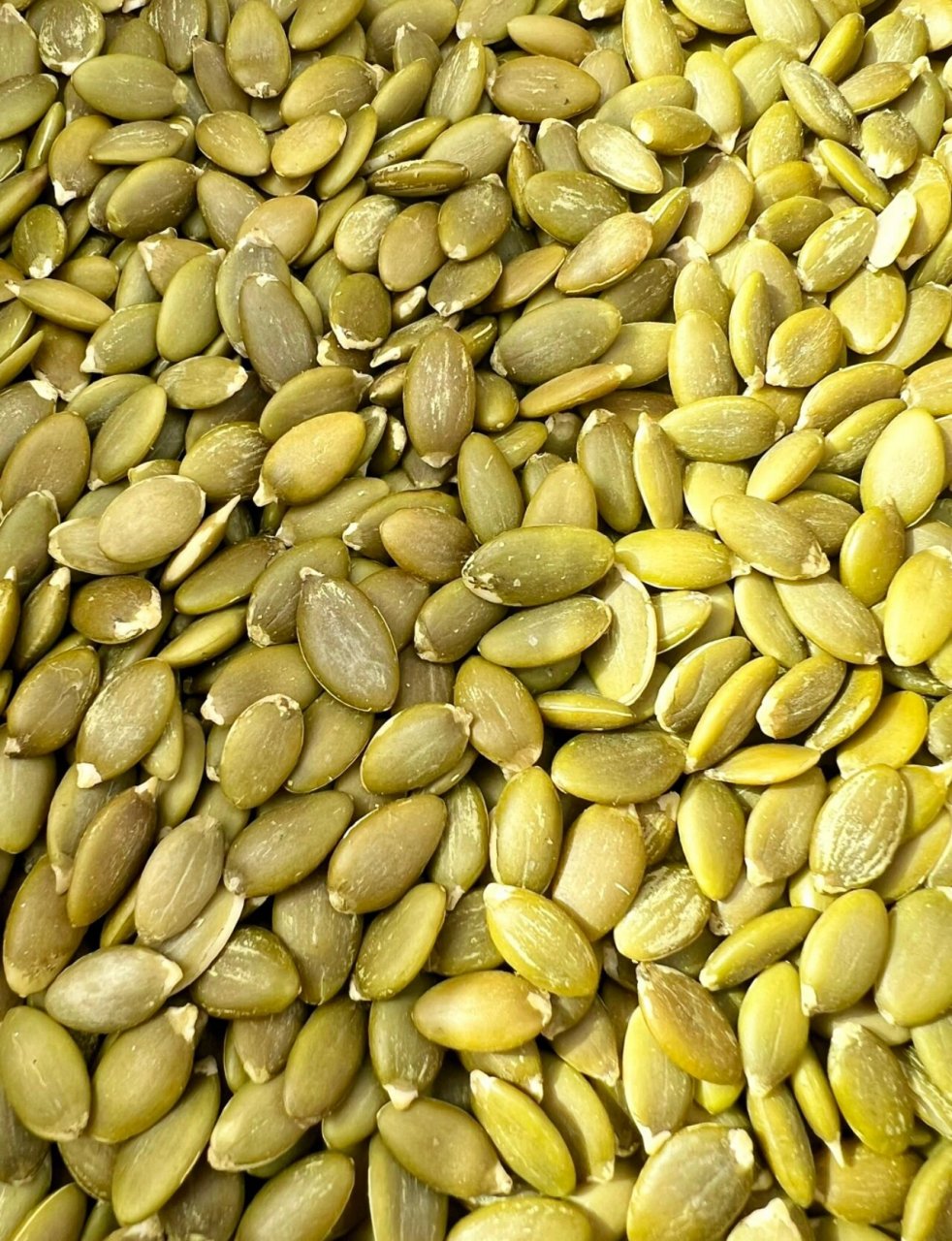 别告诉我你还没见过新疆阿勒泰的无壳南瓜子?