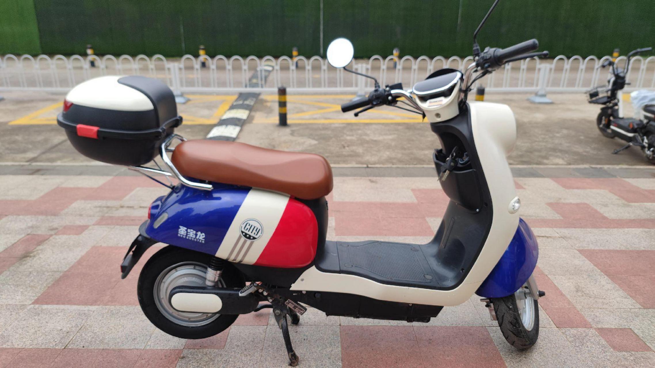 圣宝龙大龟王 全新 有牌有证 1888 .