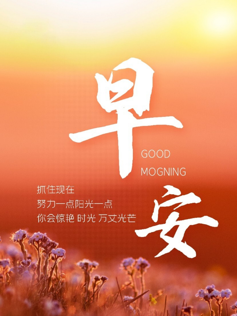 早安心语|正能量满满 72 很欣赏的一段话:别人待我如何,是我的因果