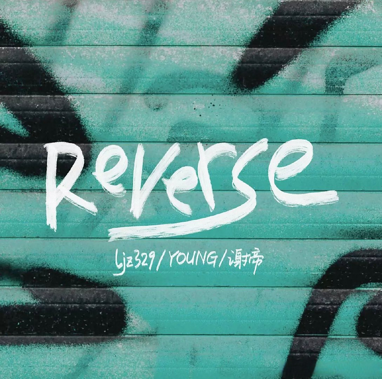 贝贝,young,谢老板新歌《reverse》发布!  你觉得怎么样?