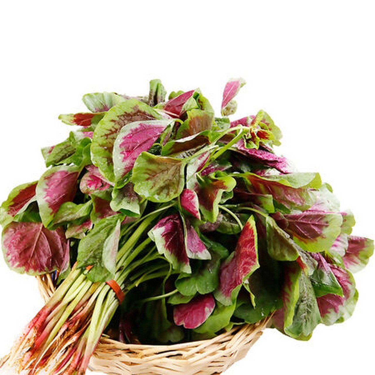 孕妇能吃苋菜吗?