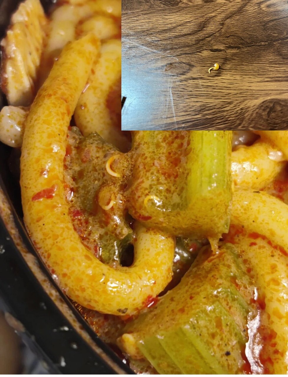 有人见过辣椒籽芽吗?