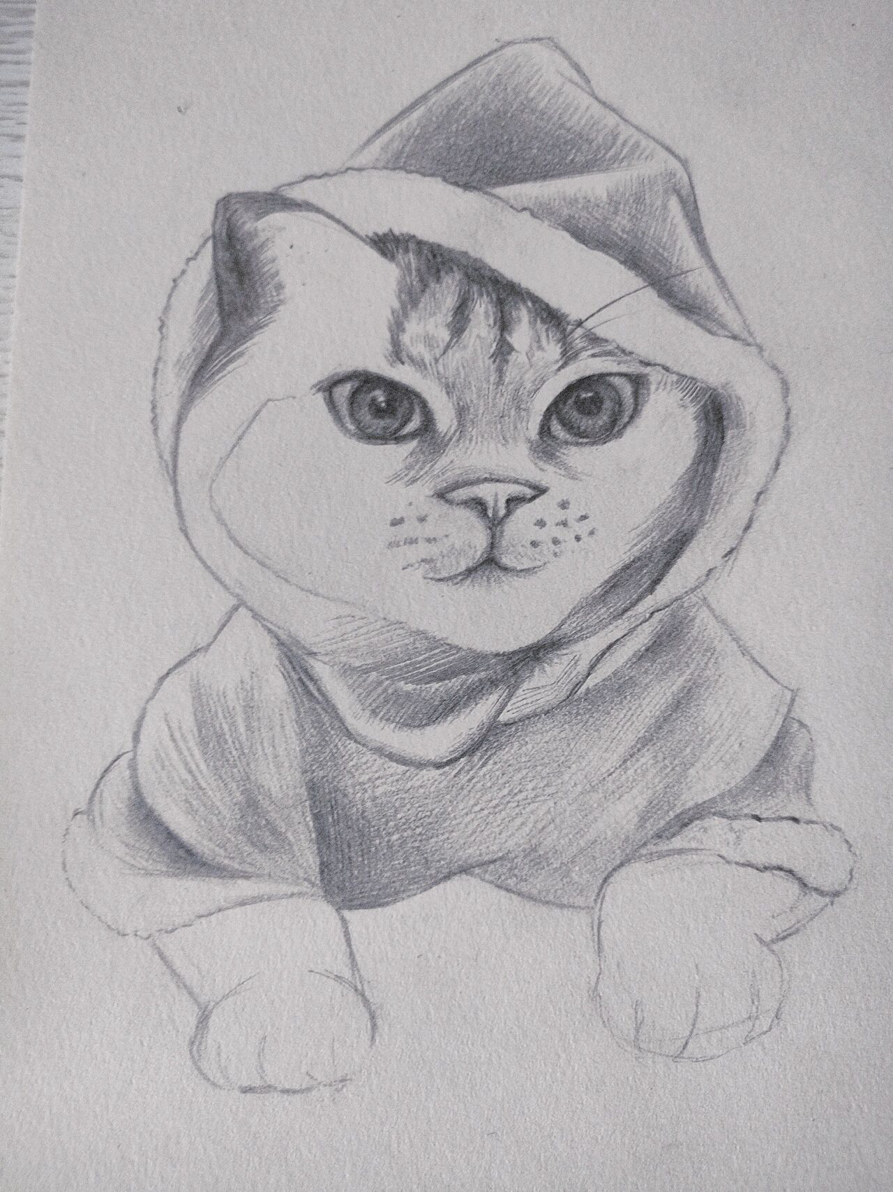 素描猫咪