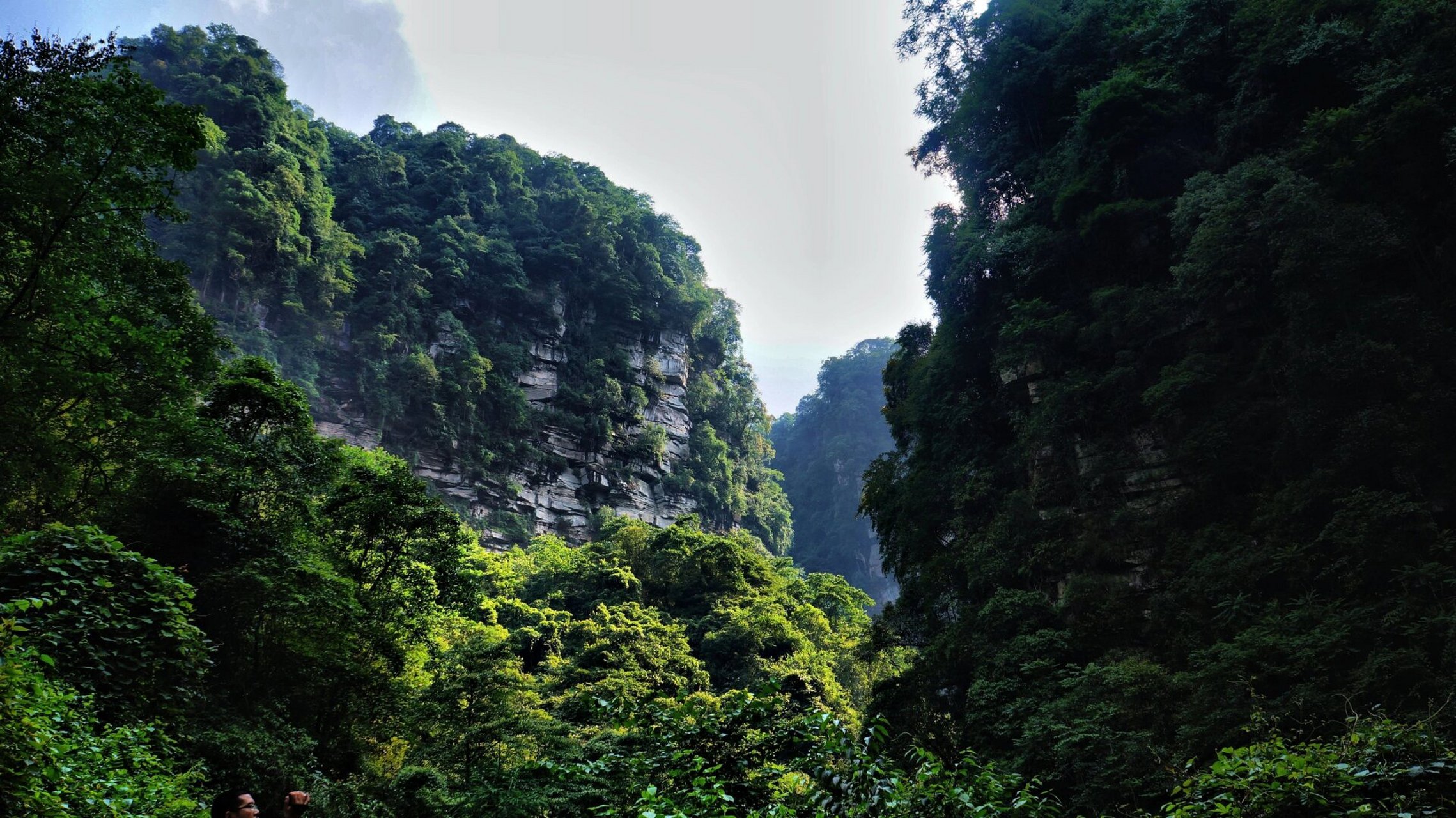 世界茶文化圣山～四川雅安蒙顶山 蒙顶山,位于四川省雅安市境内,是
