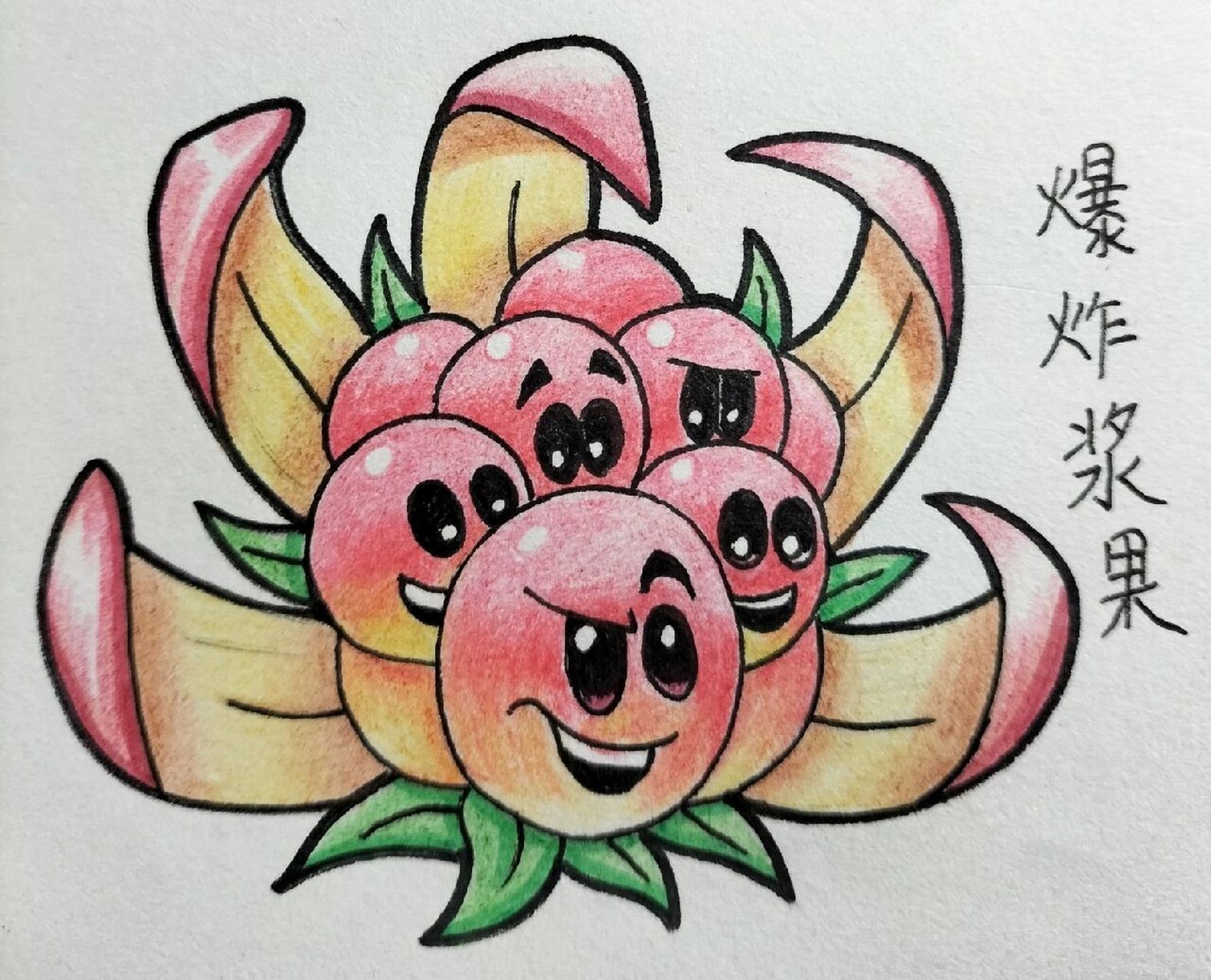 植物大战僵尸绘画简笔画 最新植物大战僵尸绘画,下面三个是自创植物