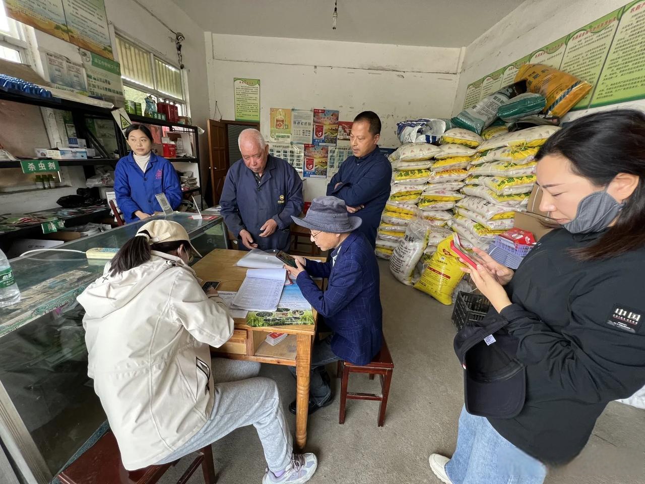 种植什么一亩收入三四万元呢(种植什么一亩收入三四万元呢图片)