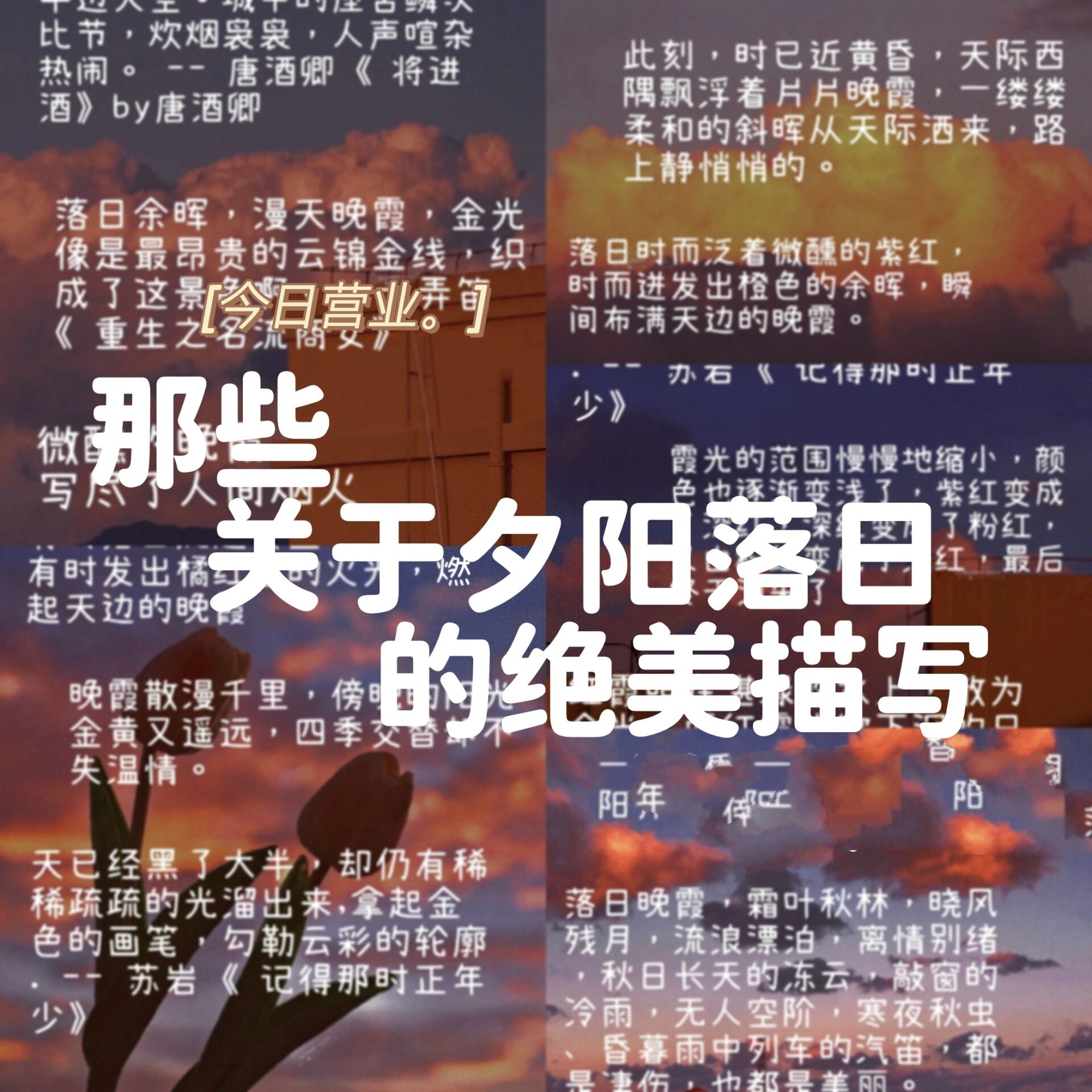 日落摄影作品文字说明图片