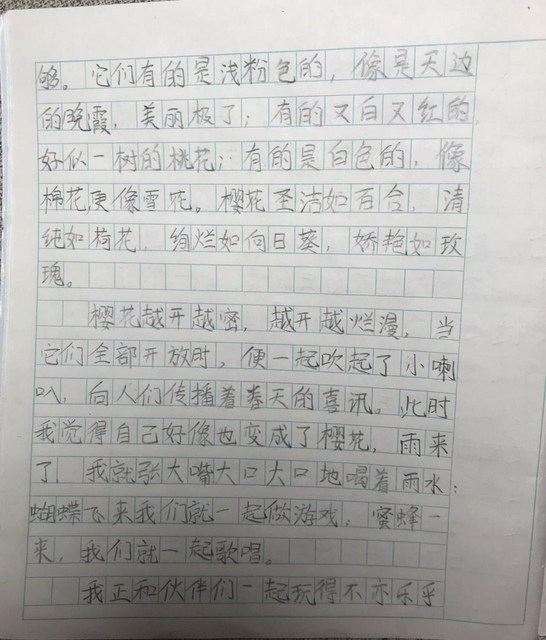 樱花的作文300字图片