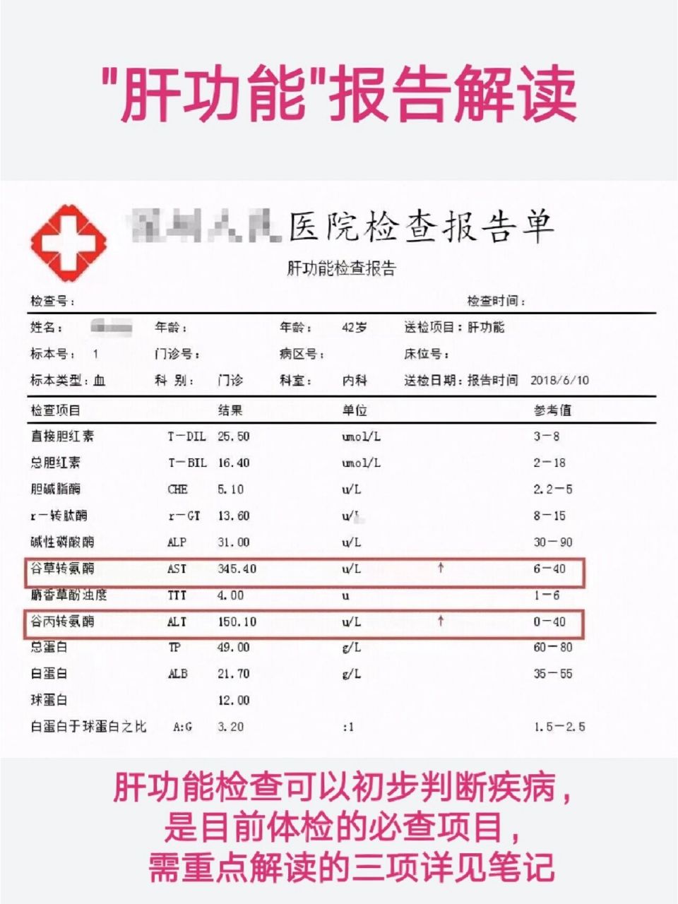 肝功能報告解讀 第一項: